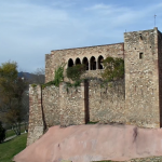 castell cartoixa
